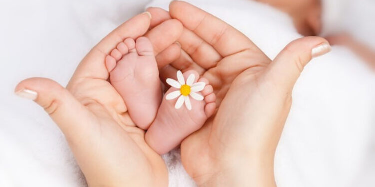 За 731 день спротиву на Житомирщині народилося понад 13 тисяч дітей. Скільки хлопчиків і дівчаток | Журнал Житомира