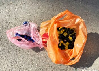 За збут наркотиків судитимуть миколаївця: збував марихуану через “закладки”