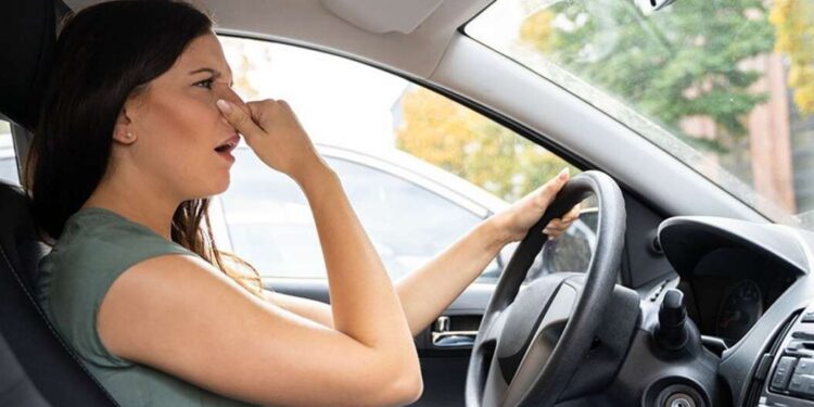 Запах бензину в салоні авто: причини та що робити | |