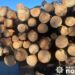 Затримали водія, який незаконно перевозив деревину