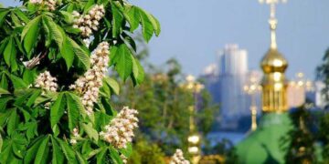 Прогноз погоди у Києві та Київській області 24 квітня | Новини Київ