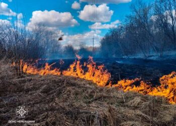 2 гектари площі горіло на Жашківщині — Новости Черкасс