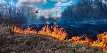 2 гектари площі горіло на Жашківщині — Новости Черкасс