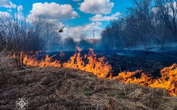 2 гектари площі горіло на Жашківщині — Новости Черкасс