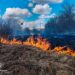 2 гектари площі горіло на Жашківщині — Новости Черкасс