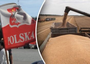 Мінсільгосп Польщі видалить зі свого сайту список імпортерів українського зерна – ЭКОНОМИКА