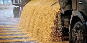 Україна зменшила експорт агропродукції автотранспортом – ЭКОНОМИКА