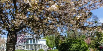 У Київській області очікується серйозна зміна погоди: синоптики | Новини Київ