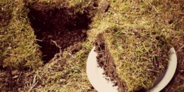 На Житомирщині перед судом за земельні махінації постане держреєстраторка – ЭКОНОМИКА