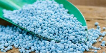 На Одеській митниці знову блокують імпорт добрив – ЭКОНОМИКА