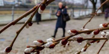 У Київській області прогнозують серйозну зміну погоди: синоптики | Новини Київ