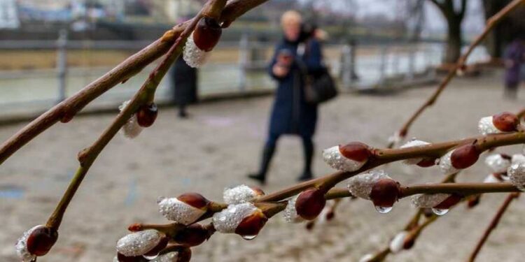 У Київській області прогнозують серйозну зміну погоди: синоптики | Новини Київ