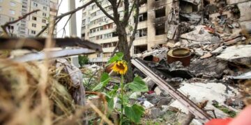 Нові збитки екології Запорізької області від збройної агресії | Новини Запоріжжя