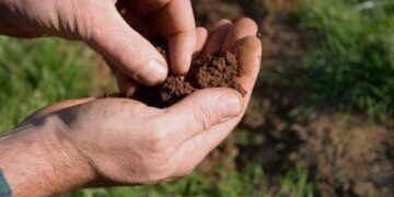 Стало відомо, як відновити Державний акт без кадастрового номеру – ЭКОНОМИКА