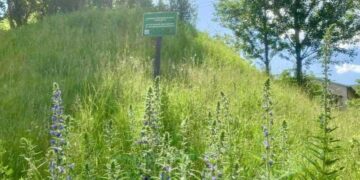 В Києві впроваджують європейські практики захисту біорізноманіття | Новини Київ