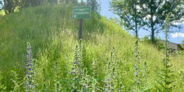 В Києві впроваджують європейські практики захисту біорізноманіття | Новини Київ