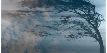 Без світла понад 70 населених пунктів: на Житомирщині не вщухає шквальний вітер | Журнал Житомира