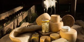 У Карпатах виготовляють сир на біодинамічній фермі – ЭКОНОМИКА