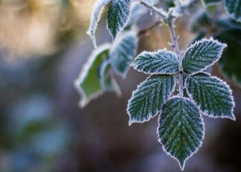 Черкащан попередили про можливий мороз
