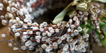 День перед Страсним тижнем: що варто знати прикарпатцям про Вербну неділю