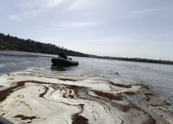 Екологи ліквідували розлив нафтопродуктів у Запоріжжі – він стався після атаки на Дніпрогес | Новости Запорожья