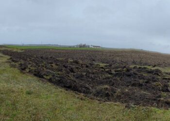 Фермера з Одещини звинуватили у захопленні восьми соток землі у водоохоронній зоні