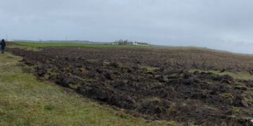 Фермера з Одещини звинуватили у захопленні восьми соток землі у водоохоронній зоні