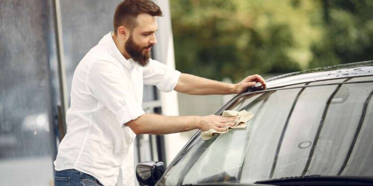 Як очистити лобове скло від комах: поради водіям Дніпра |  |