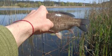 Косенко: «Черкащина є хабом для розвитку рибного господарства України в цілому» — Новини Черкащіни