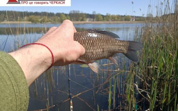 Косенко: «Черкащина є хабом для розвитку рибного господарства України в цілому» — Новини Черкащіни