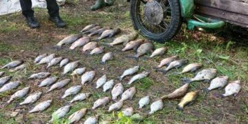 На Черкащині браконьєр наловив риби на майже 100 тисяч