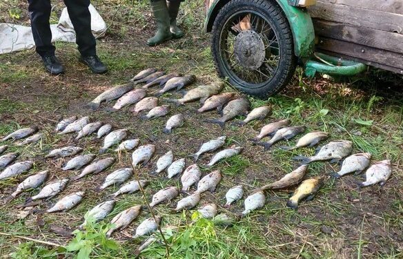На Черкащині браконьєр наловив риби на майже 100 тисяч
