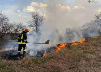 На Черкащині протягом доби ліквідували десяток пожеж (ФОТО)