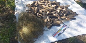 На Черкащині рибалки незаконно наловили риби майже на 400 тисяч
