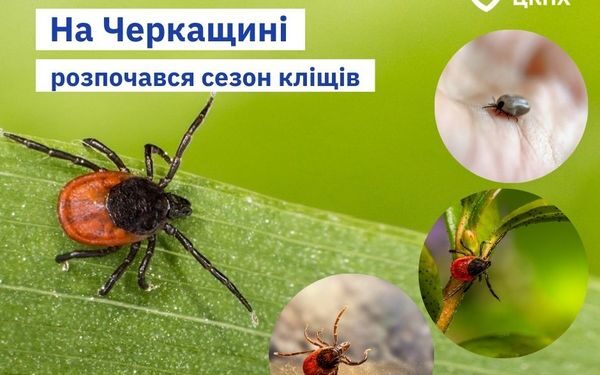 На Черкащині розпочався сезон кліщів — Новости Черкасс