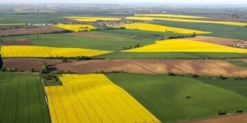 На Черкащині у понад 55 гектарів неефективно використовуваних земель зміняться власники