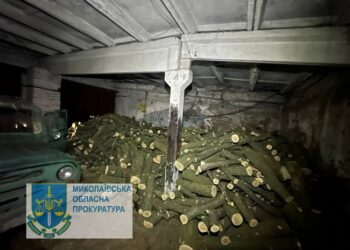 На Миколаївщині працівник поліції організував “групу” чорних лісорубів