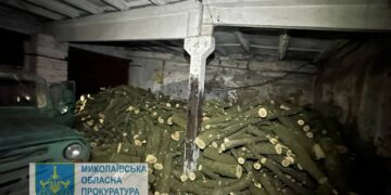 На Миколаївщині працівник поліції організував “групу” чорних лісорубів