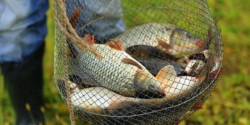 На річках і водосховищах Полтавщини заборонять вилов риби