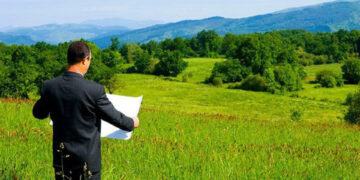 На Житомирщині до державної власності повернули 20 га лісогосподарських земель | Журнал Житомира