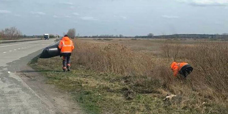 На Житомирщині проводять прибирання доріг. Вручну збирають пляшки, поліетилен та інші відходи | Журнал Житомира
