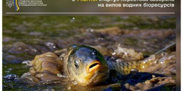 На Житомирщині з 1 квітня стартує нерестова заборона на вилов риби | Журнал Житомира