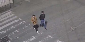 Поламали дерева: у Смілі розшукують двох вандалів