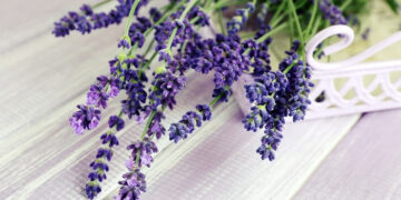 Потепління до +20 й без дощів: синоптики дали прогноз погоди на вівторок, 23 квітня