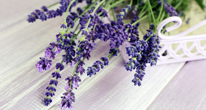 Потепління до +20 й без дощів: синоптики дали прогноз погоди на вівторок, 23 квітня