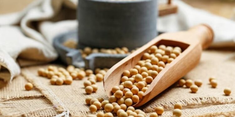 Специфіка вирощування сої в Україні