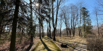 Штормовий вітер у Житомирі: у пʼятницю та на вихідних значно потепліє | Журнал Житомира