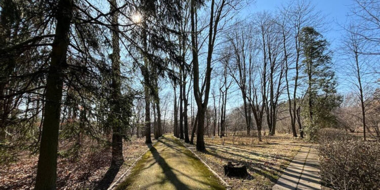 Штормовий вітер у Житомирі: у пʼятницю та на вихідних значно потепліє | Журнал Житомира