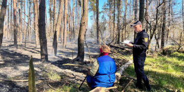 Сплатять штраф: на Черкащині борються із паліями трави
