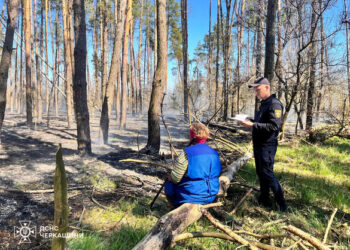 Сплатять штраф: на Черкащині борються із паліями трави